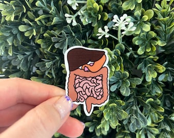 Digestive System Healthcare/Nursing Sticker