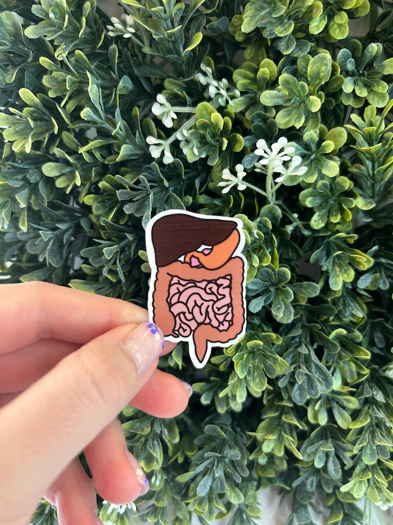 Digestive System Healthcare/nursing Sticker - Etsy