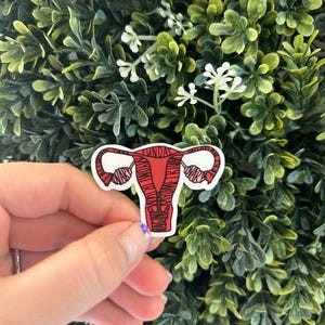 Anatomically Labeled Uterus Healthcare/Nursing Sticker