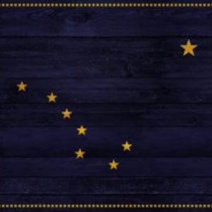Pannello - Pannello bandiera Alaska di Timeless Treasures