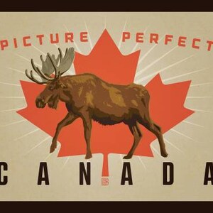 Panneau - Destination Canada 3 - Image parfaite - Panneau - Riley Blake