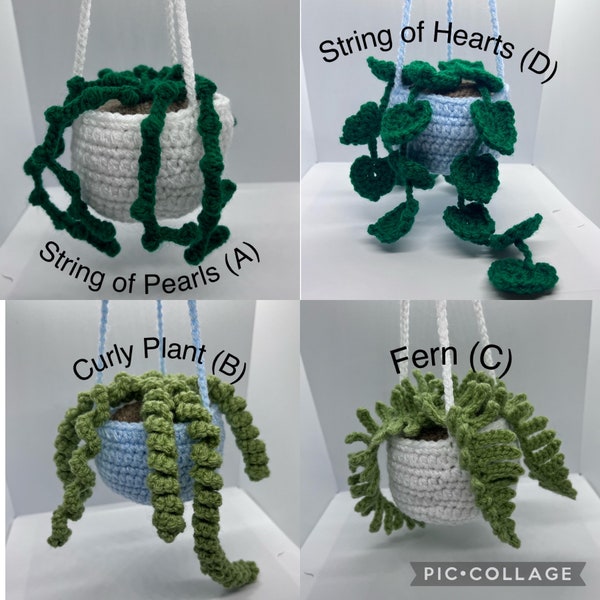 Crochet Hanging plants - Crochet Plants - Curly Plant - Fern - String of Pearls