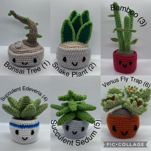 Crochet Plants - Crochet Amigurumi Plants