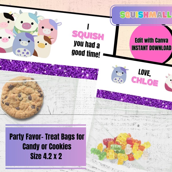 Squishmallow Party Favors Bag Etsy