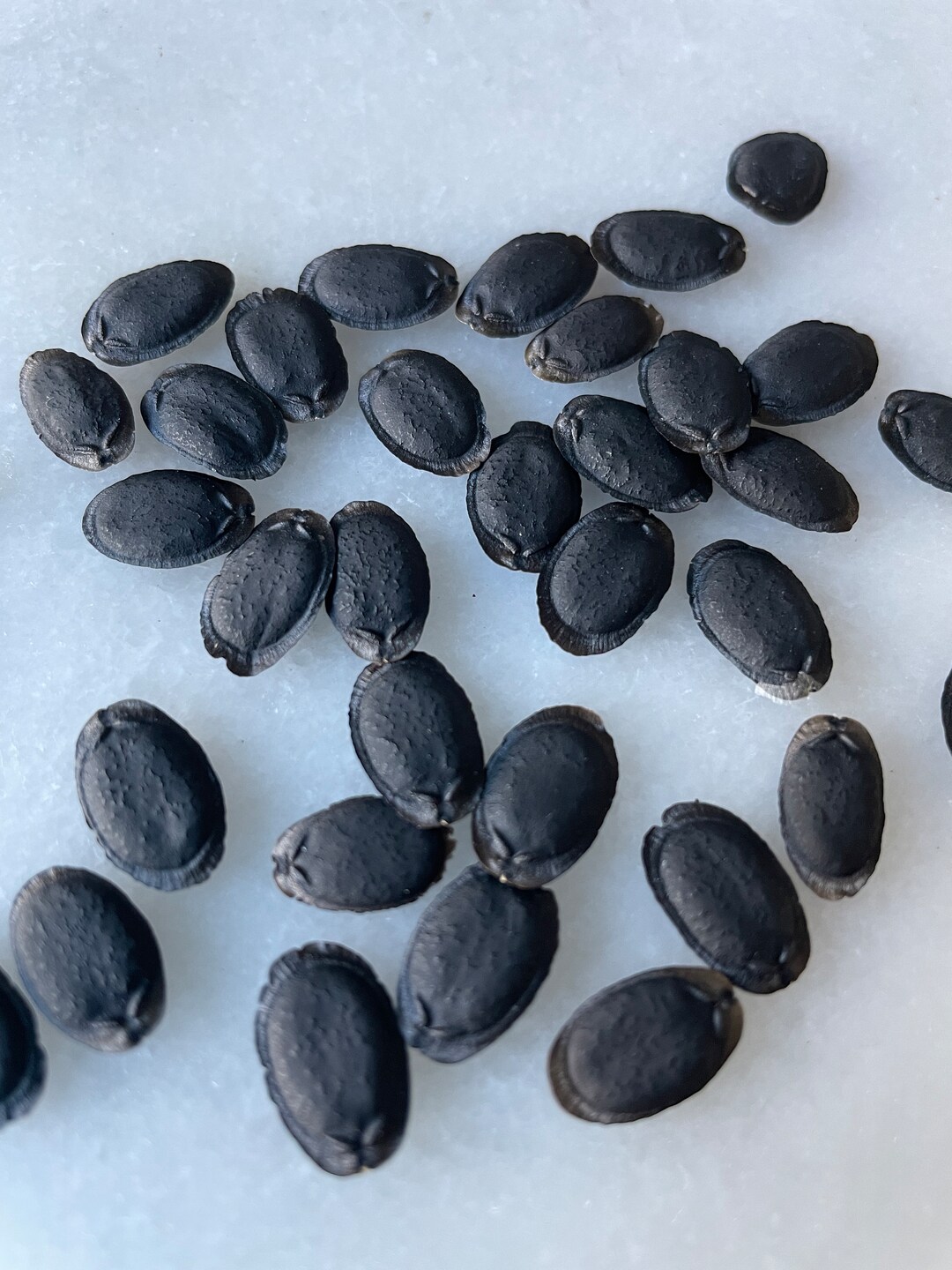 20 25 Organic Loofah Seeds Loofah Seed Luffa Seeds Luffa Seed Etsy