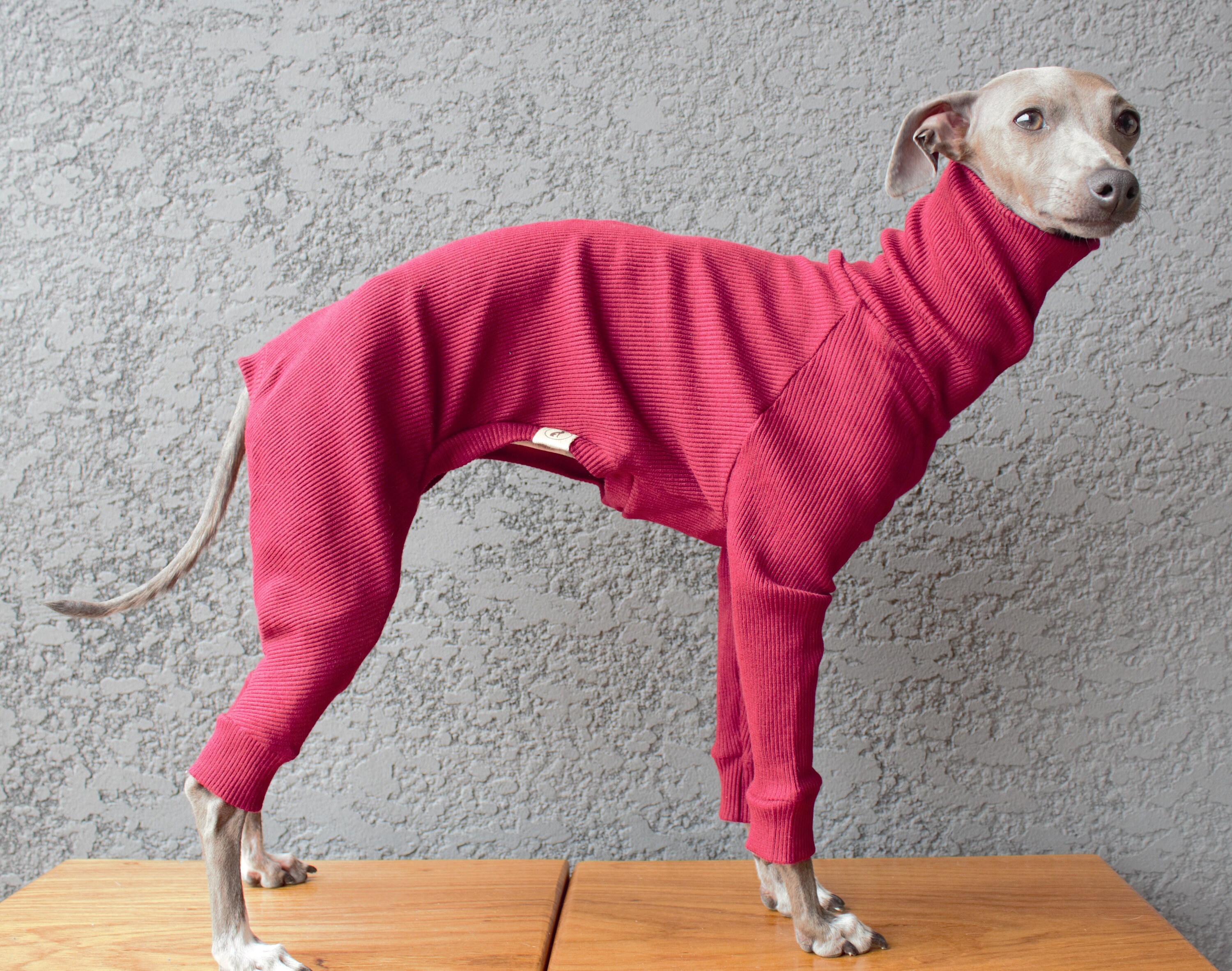 greyhound turtleneck