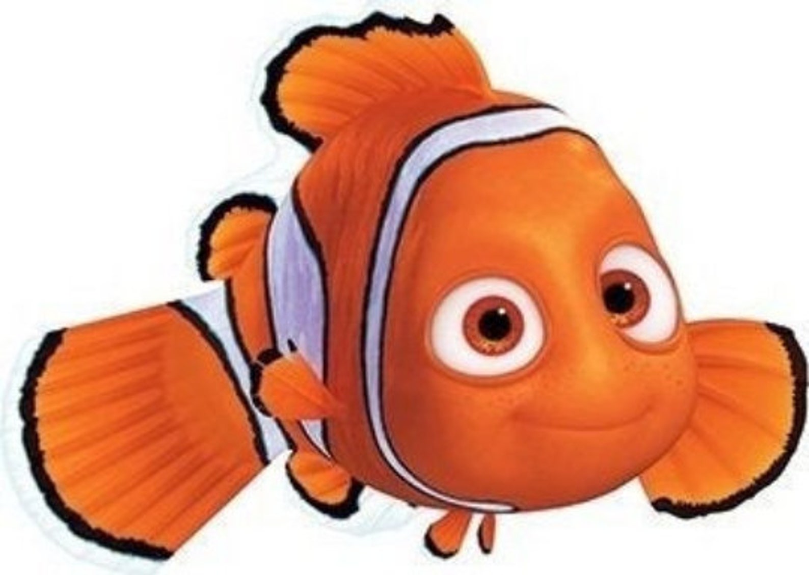 finding nemo fish that likes bubbles finding nemo fish that likes bubbles
