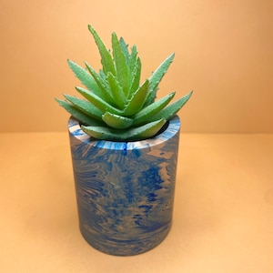 May include: A small succulent plant in a blue and white marbled planter. The planter is cylindrical and has a smooth finish.
