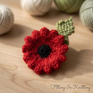 Può includere: Un fiore di papavero all'uncinetto con petali rosso vivace, un centro nero testurizzato e una singola foglia verde salvia attaccata al lato. Il pezzo floreale artigianale presenta complessi intrecci di filato e il testo Fitting In Knitting.