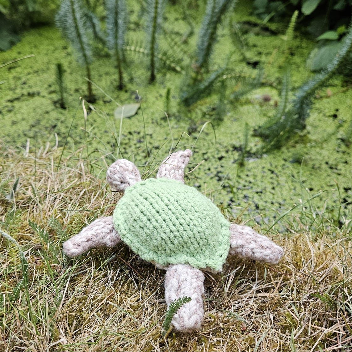 Knitted Turtles- PDF Turtle Knitting Pattern - Etsy