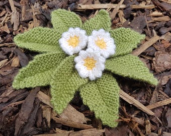 Prímula de malha - PDF Padrão de tricô de prímula