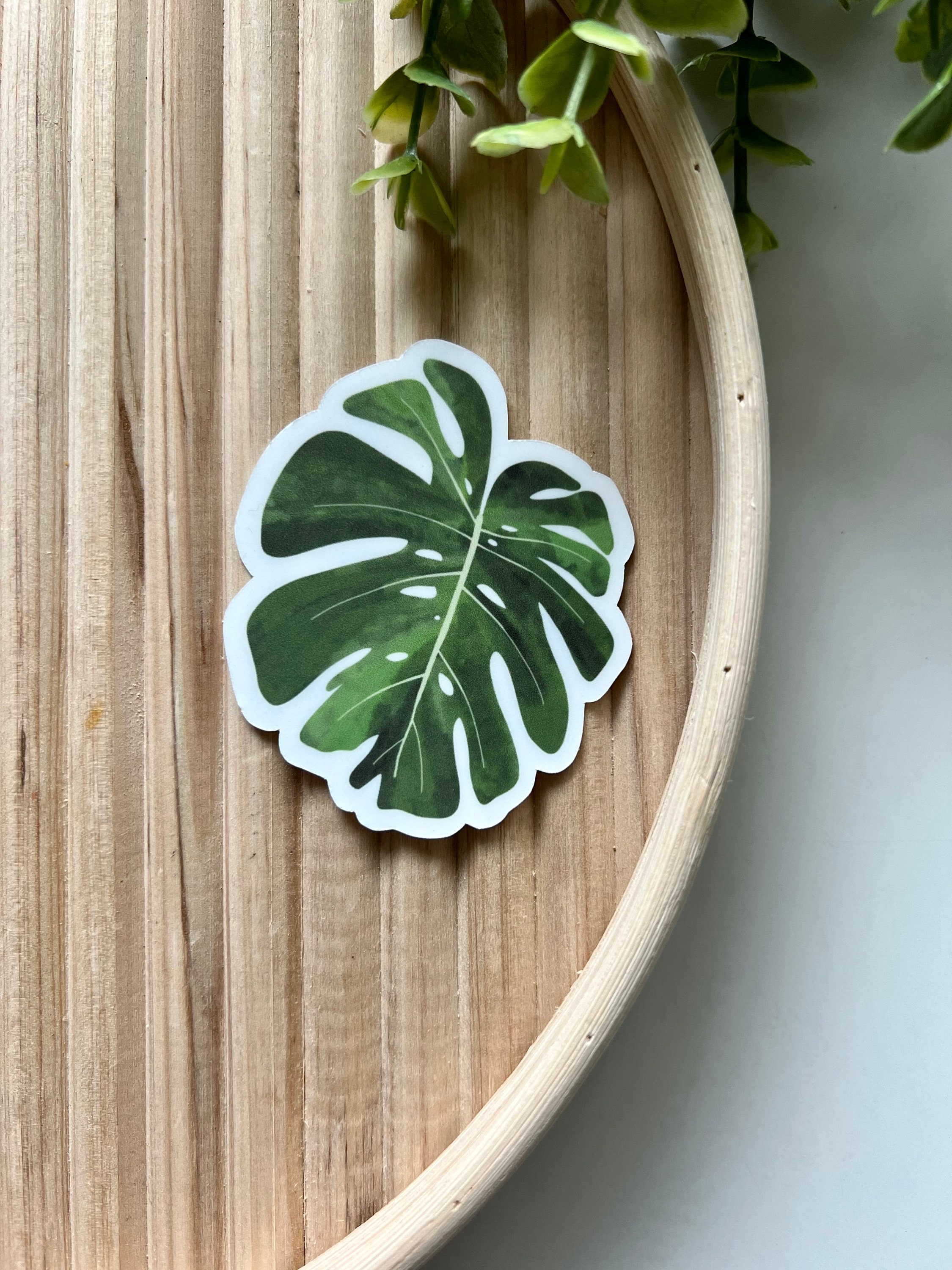 Watercolor Monstera Vinyl Sticker, Waterproof Sticker, Monstera Leaf ...