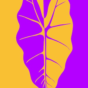 Alocasia Frydek Pop Art Digital Download