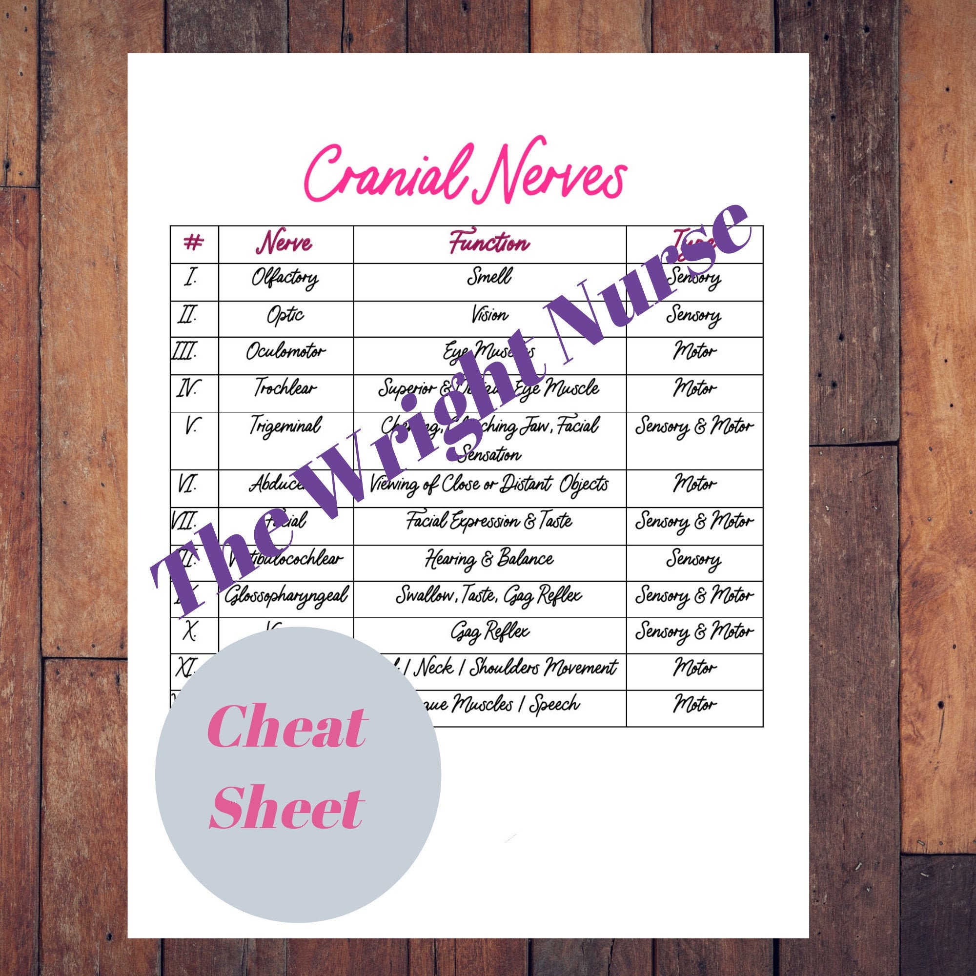 Buy Cranial Nerves Cheat Sheet Online in India - Etsy