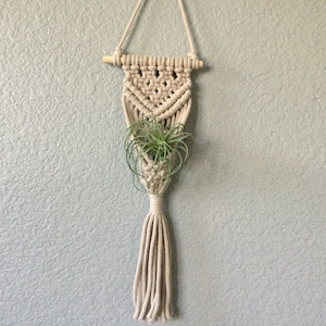May include: A beige macrame plant hanger with a wooden dowel and a long tassel. The woven design holds a green air plant. The hanger is suspended against a light blue textured wall.