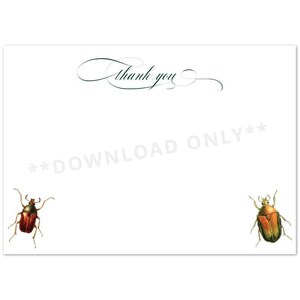 DIGITAL DOWNLOAD Insect Thank You Cards