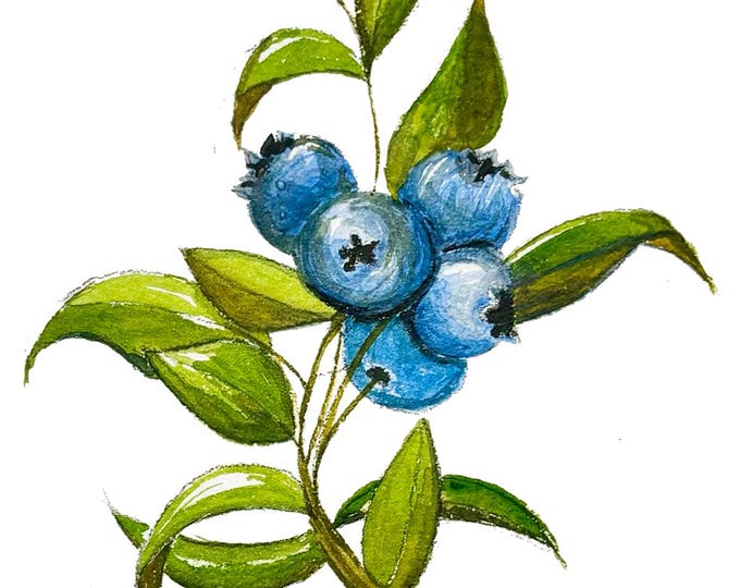 Art Print - Blueberries