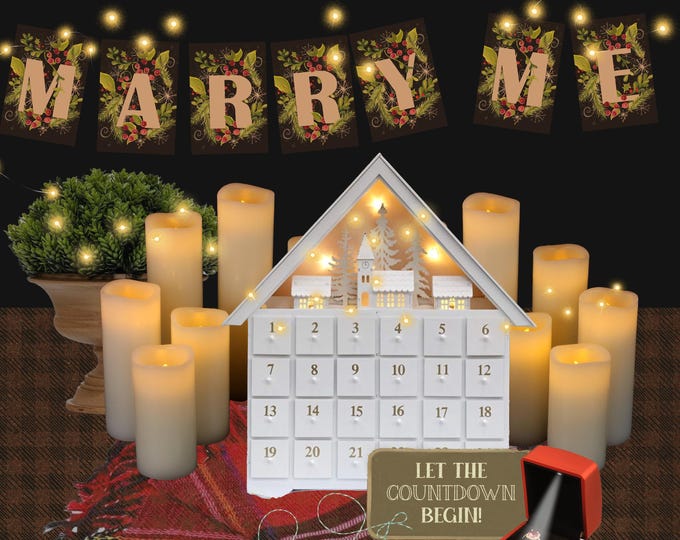 Marry Me Banner Holiday Style