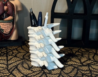 Spine Organizer: Spine Shaped Holder for Pens or Makeup Brushes