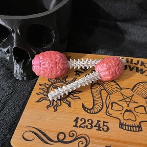 Brain and Spine Herb/dry Goods Scoop Spoon Set | Kitchen Utensils ...