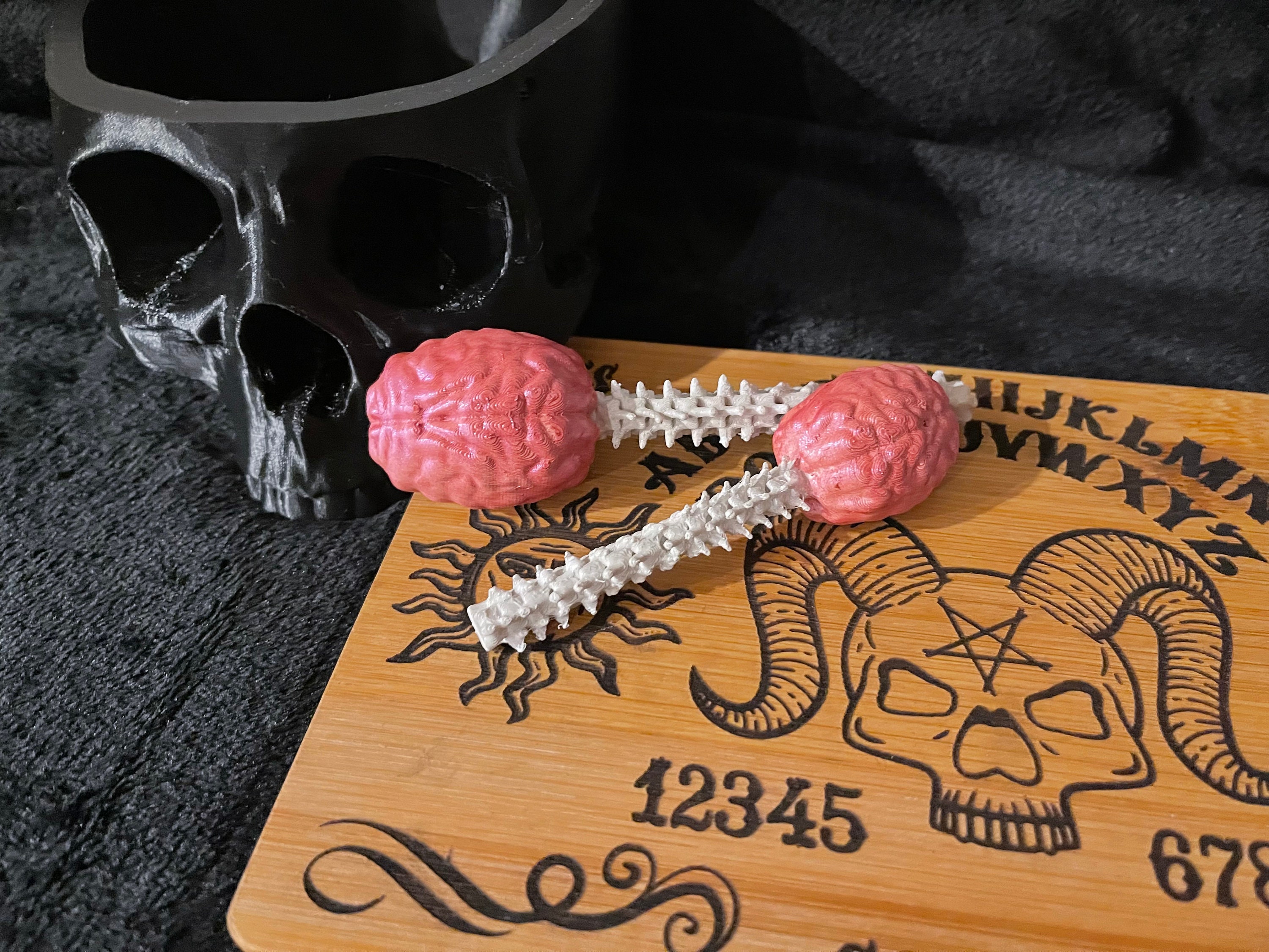 Brain and Spine Herb/dry Goods Scoop Spoon Set | Kitchen Utensils ...