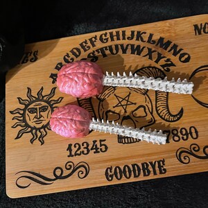 Brain and Spine Herb/dry Goods Scoop Spoon Set | Kitchen Utensils ...