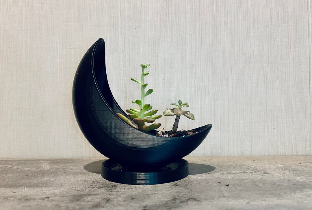 Crescent Moon Planter Pot Succulent Planter Gothic Home Decor Unique