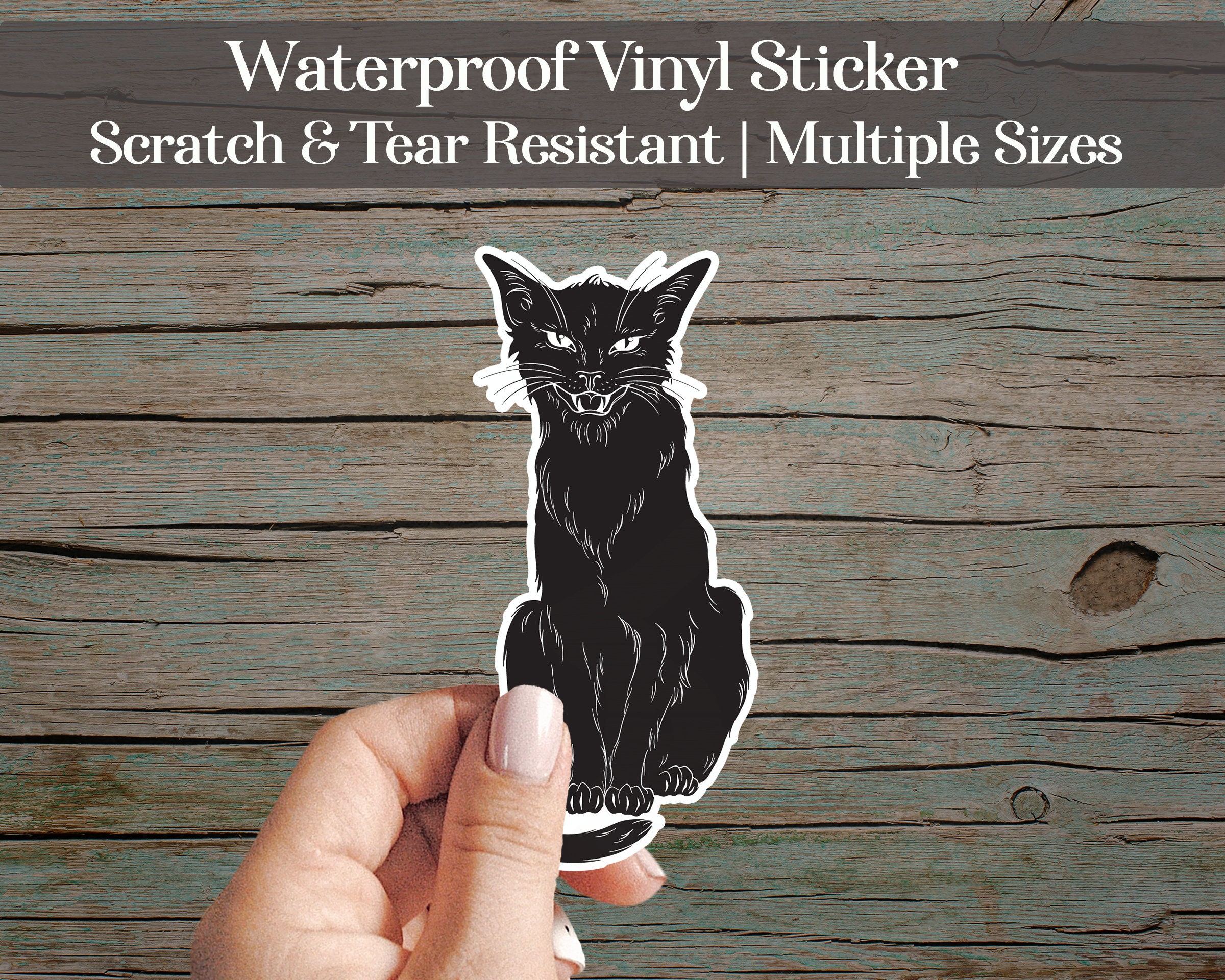 Black Cat Silhouette Halloween Variety Package 15 Vinyl Cat