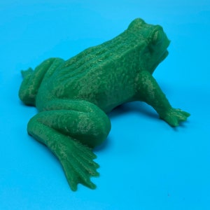 Fake frog geocache container