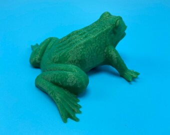 Fake frog geocache container