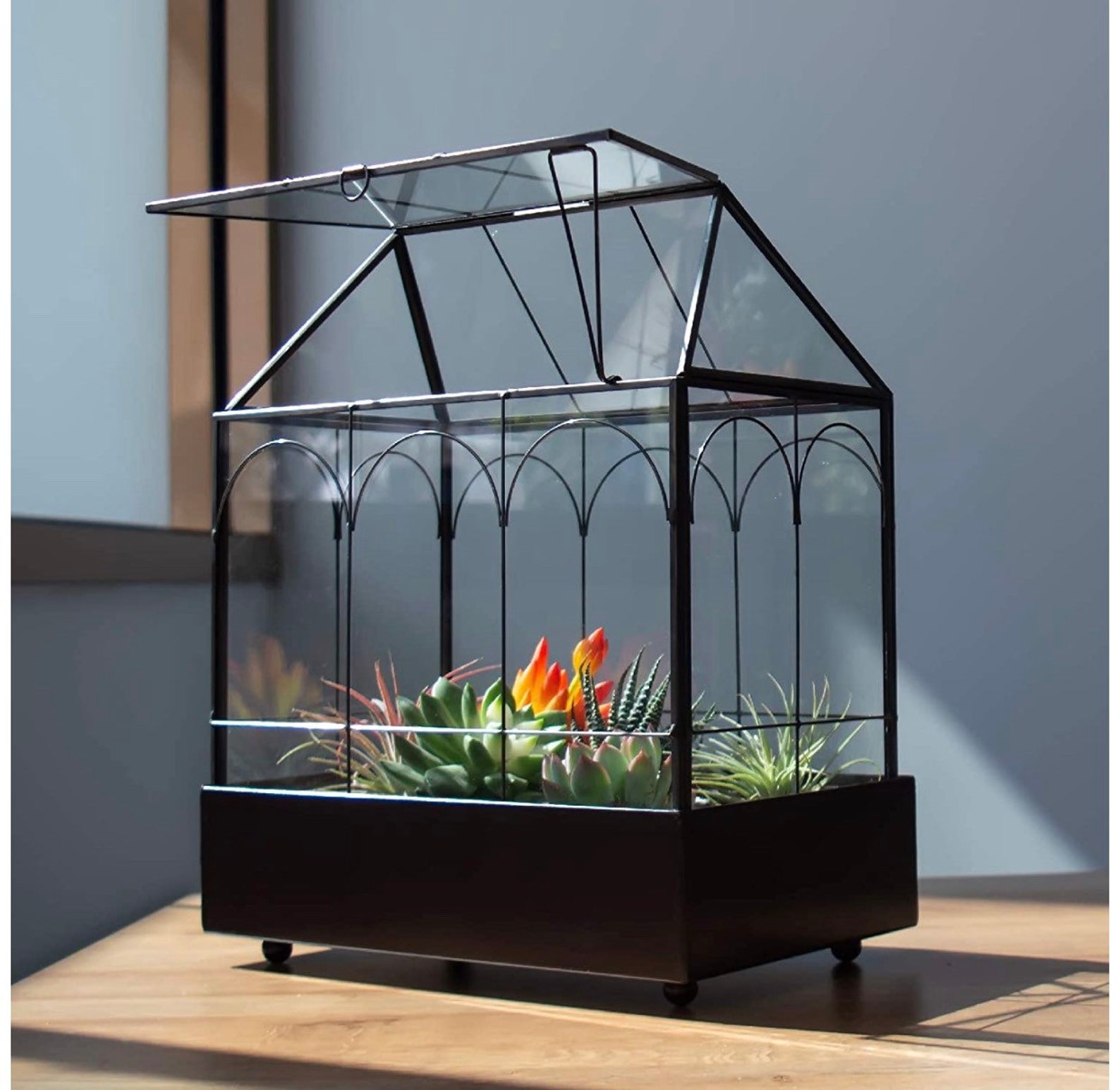 Glass Plant Terrarium House Succulent Glass Terrarium Kit Etsy