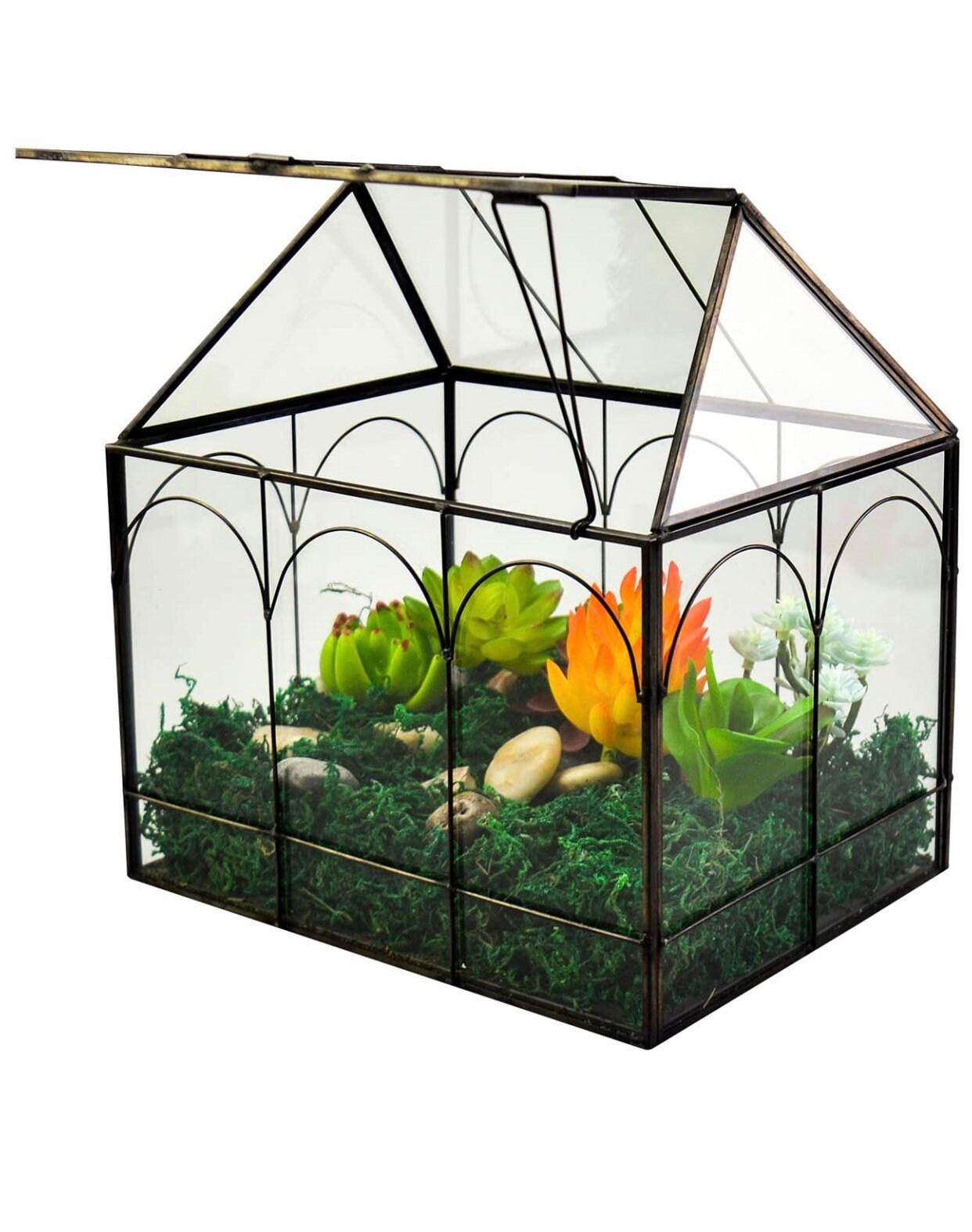 Large Plant Terrarium Glass Glass Greenhouse Terrarium with Etsy