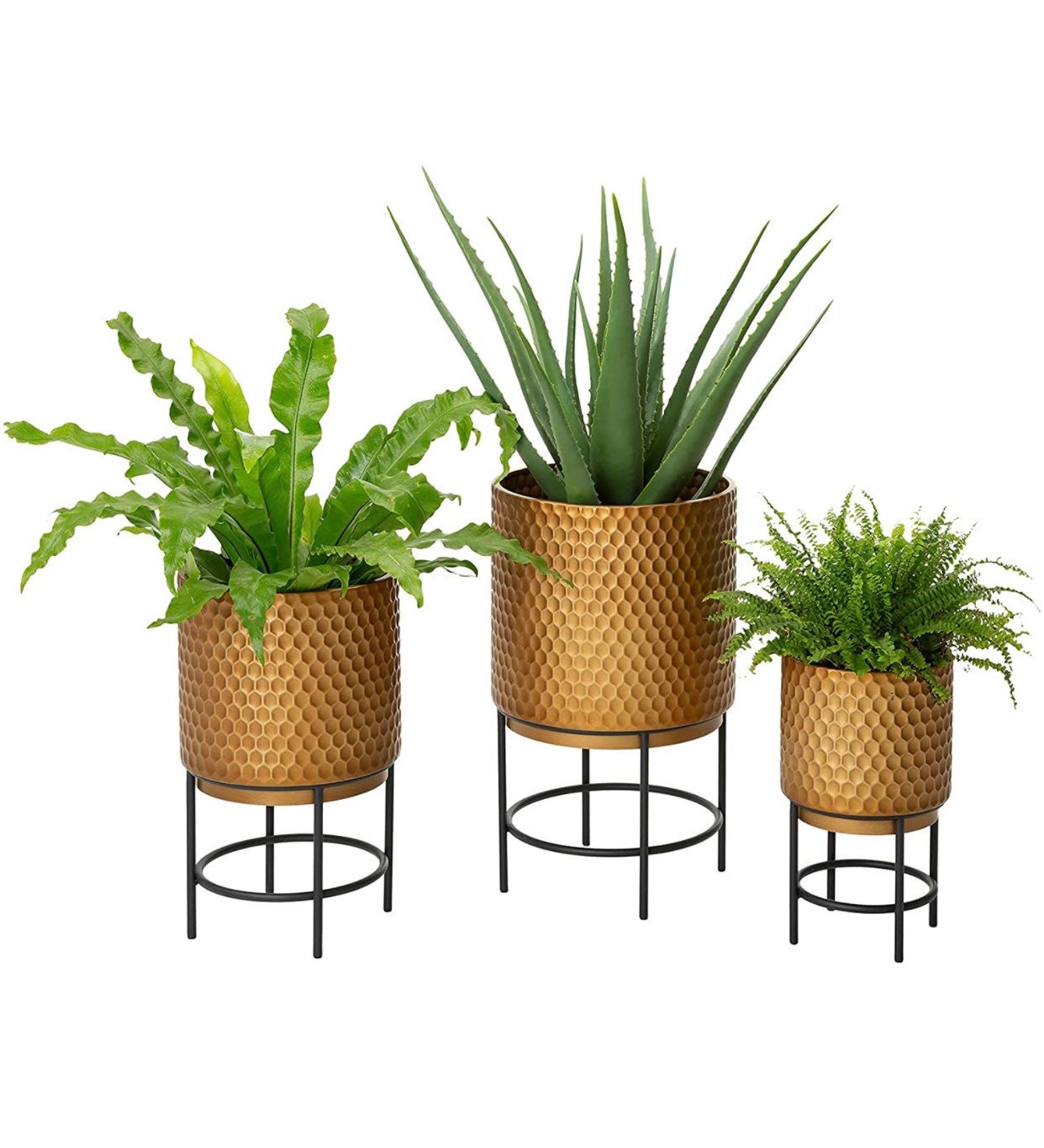 3 Set Antique Gold Plant Stand Patterned Metal Etsy