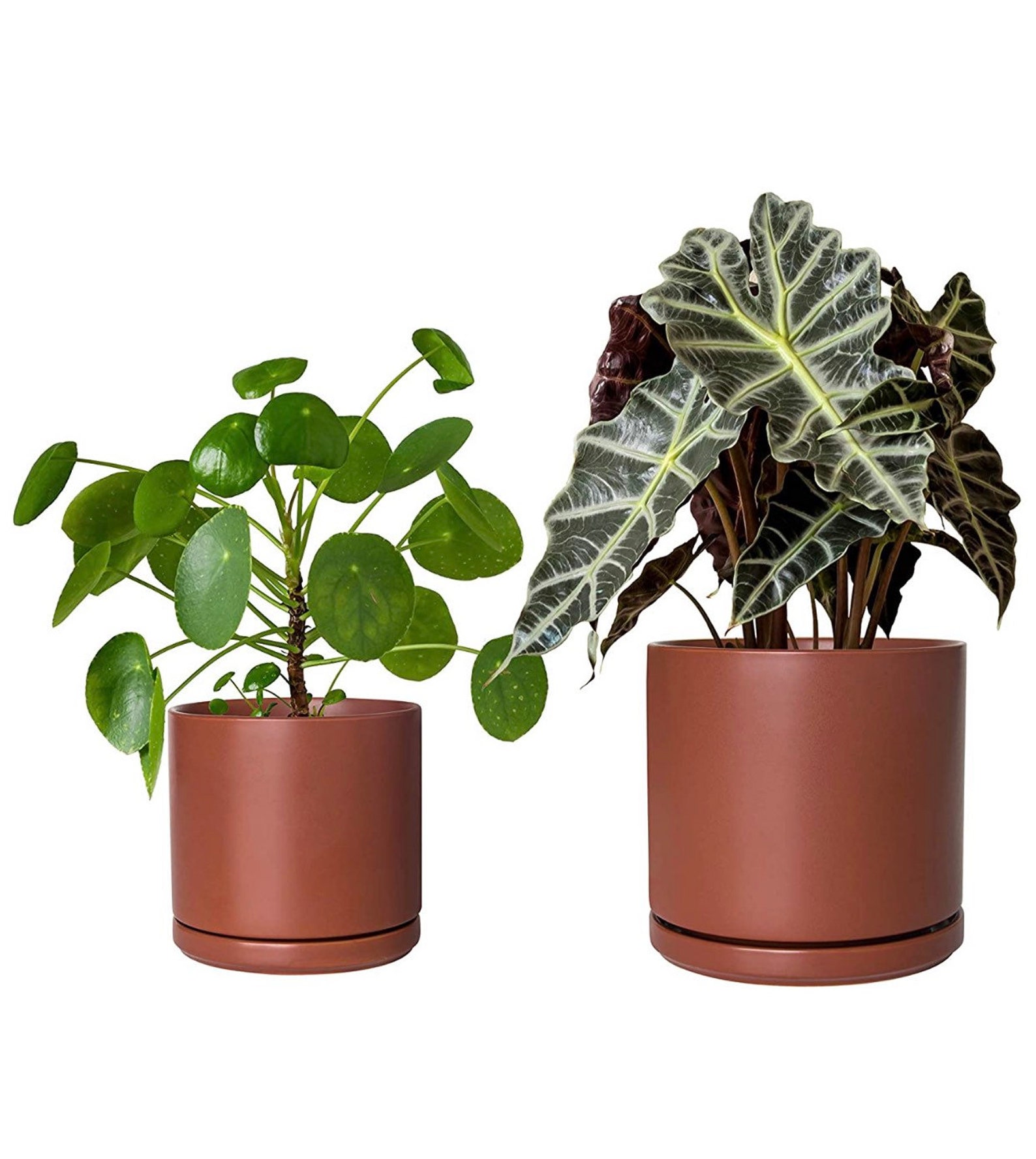 Ceramic Planter Pot with Drainage Hole and Saucer Indoor Etsy