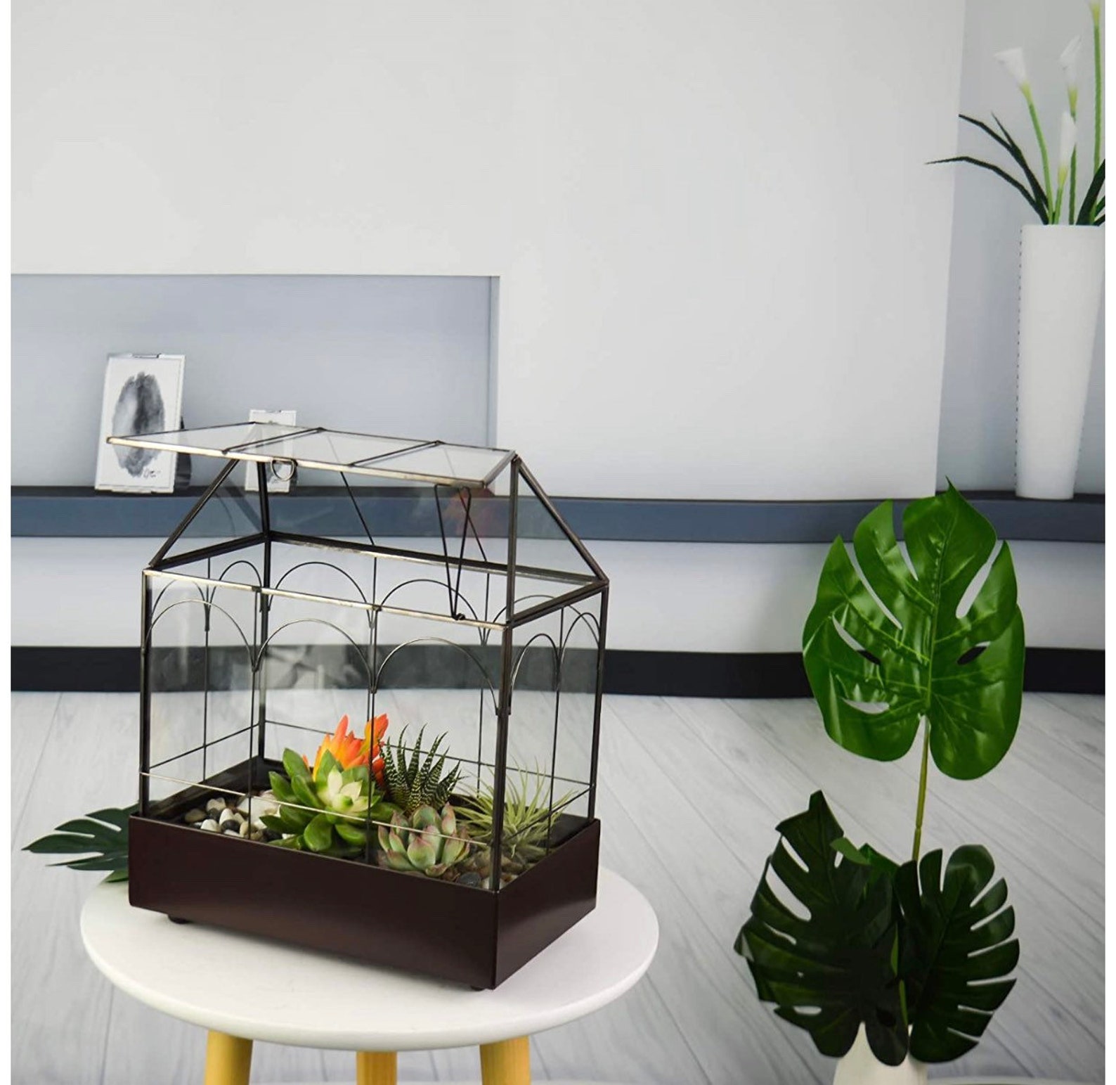 Glass Plant Terrarium House Succulent Glass Terrarium Kit Etsy