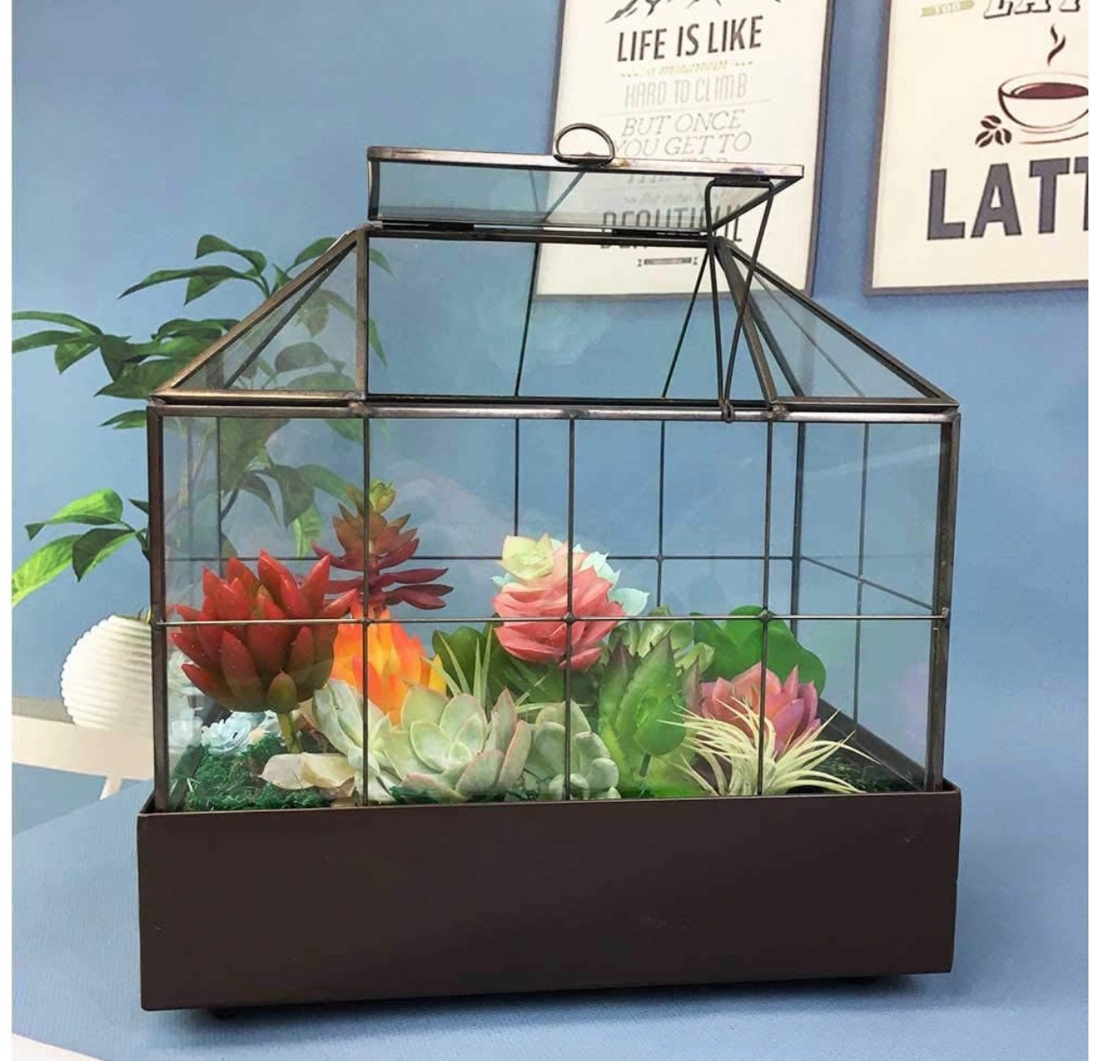 Large Tall Plant Glass Terrarium Glass Greenhouse Terrarium Etsy