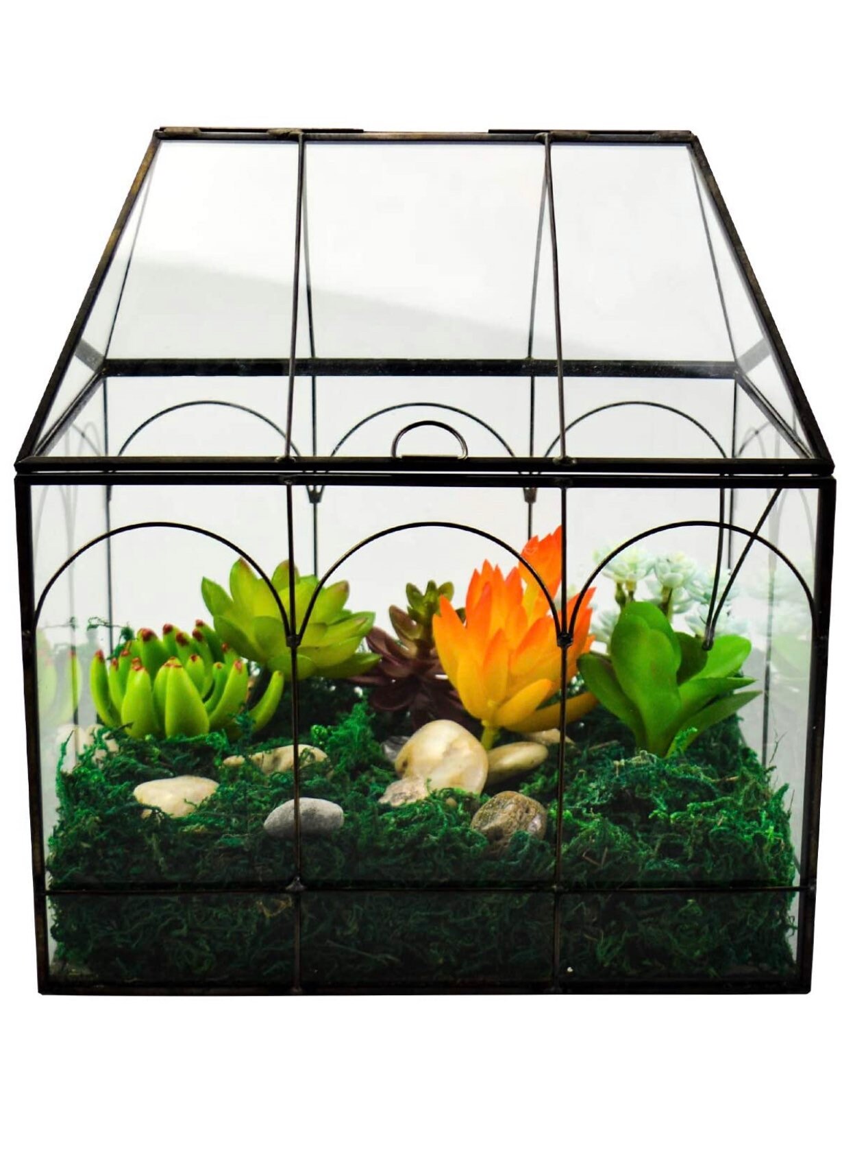 Large Plant Terrarium Glass Glass Greenhouse Terrarium with Etsy