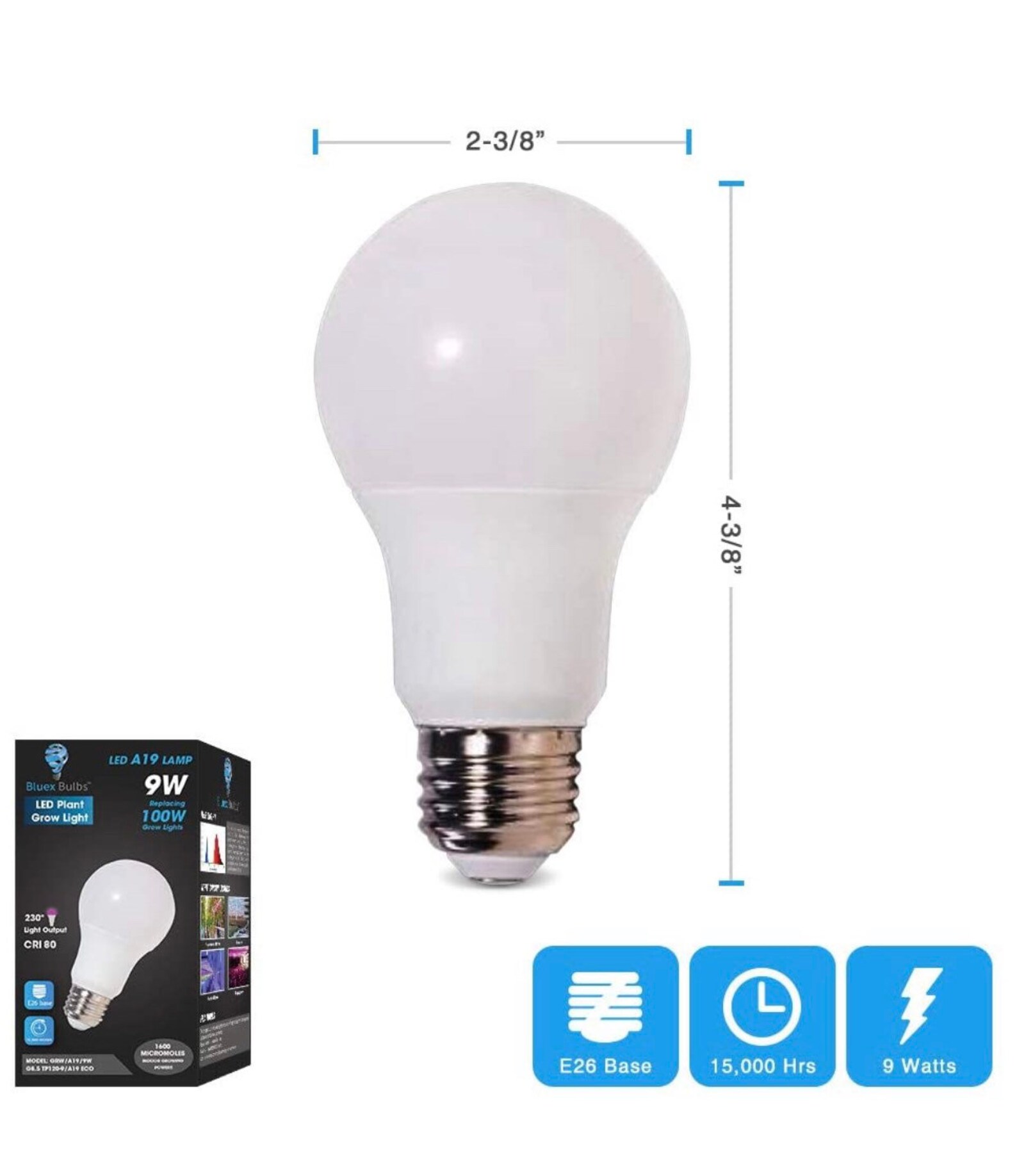 bluex bulbs bluex bulbs