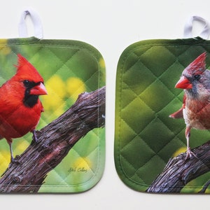 Northern Cardinal - male and female set of 2 different Pot Holders