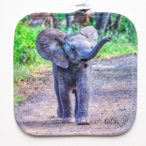 ELEPHANT Pot Holder