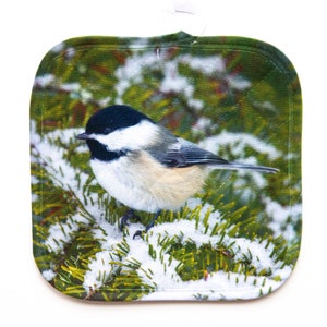 BLACK-CAPPED CHICKADEE Pot Holder