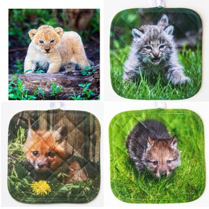 May include: Set of four pot holders featuring adorable baby animals. Each pot holder has a different animal: a lion cub, a bobcat kitten, a fox kit, and a wolf pup. The animals are all pictured in a grassy field setting.