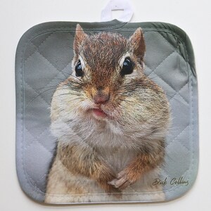 May include: A close-up of a pot holder featuring a brown and white chipmunk with a fluffy face. The chipmunk is looking directly at the camera with a curious expression. The pot holder has a gray quilted background with a white border and the text "Dick Collins" in the bottom right corner.