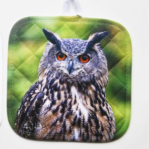 May include: A brown and gray owl with orange eyes is featured on a green quilted pot holder. The owl is looking directly at the camera.