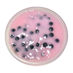 May include: Pink slime with black tapioca pearls in a clear plastic container.