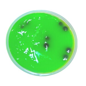 May include: A clear plastic container filled with a bright green slime-like substance. Small black beads are dispersed throughout the slime.