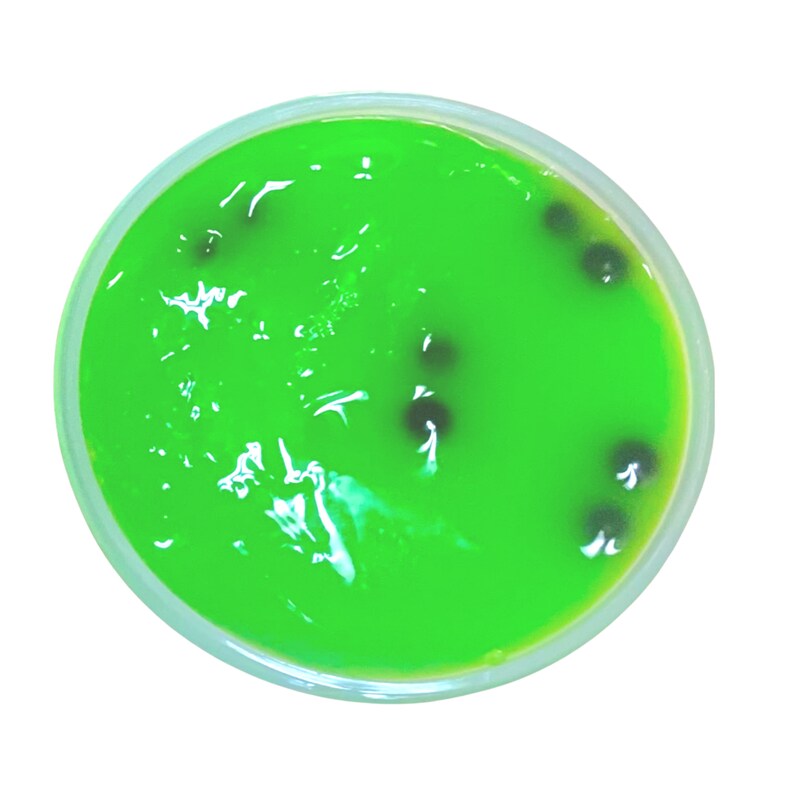 May include: A clear plastic container filled with a bright green slime-like substance. Small black beads are dispersed throughout the slime.
