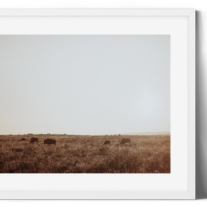 DIGITAL DOWNLOAD - national park, Grand Canyon, Yellowstone - Wall decor - Western photos - western prints - southwest decor - western decor
