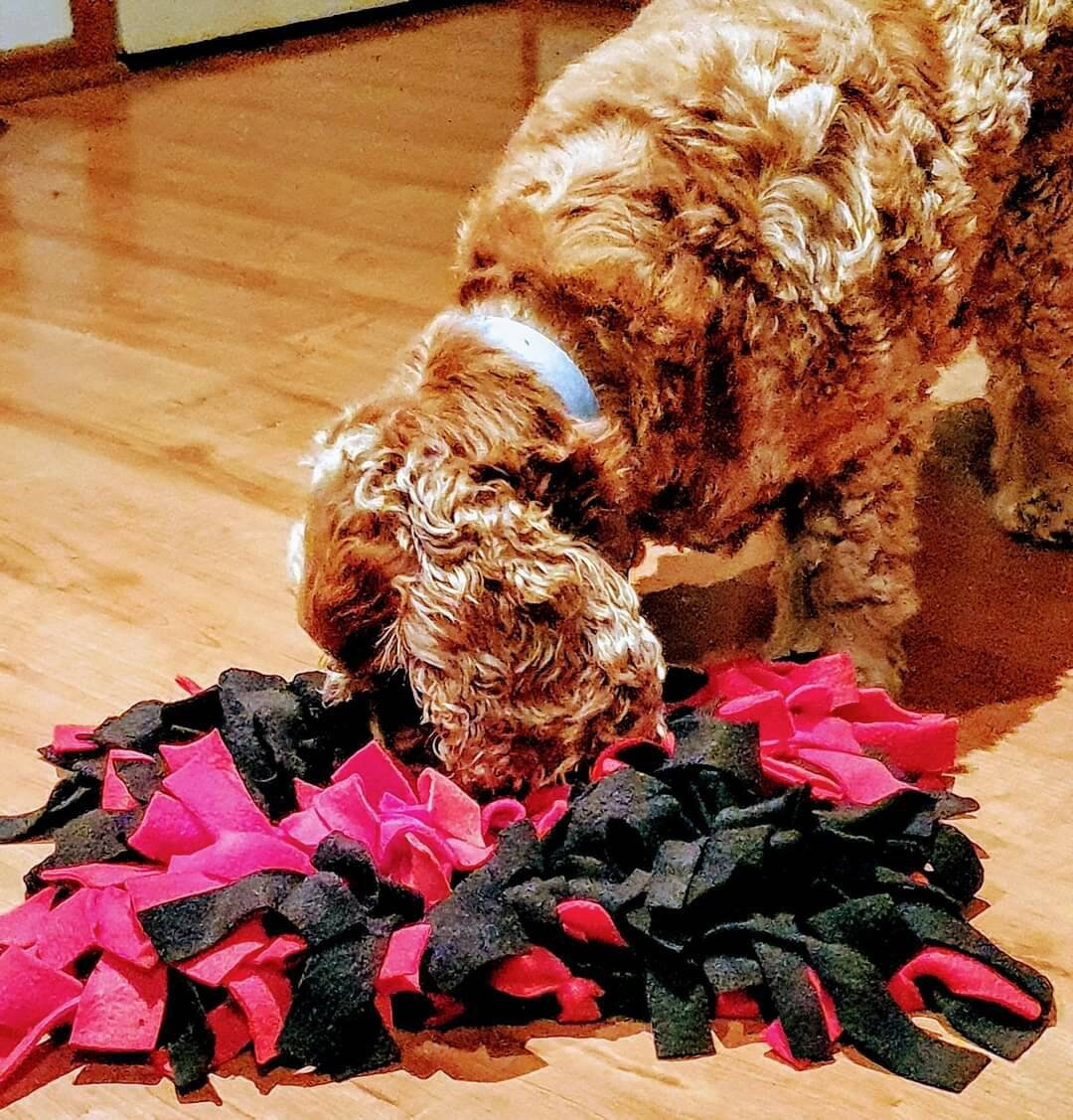 Dog Snuffle Mat Medium Manic Monday Etsy