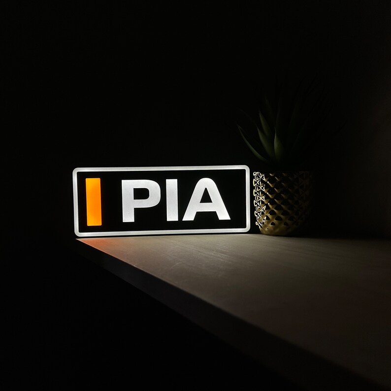 Oscar Piastri (Mclaren F1) Name Abbreviation F1 Light with LED Lighting, Formula 1, F1 Racing image 2